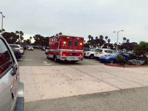 Austin, TX - Denise Maxine Cunningham Killed in Collision on Ed Bluestein Blvd
