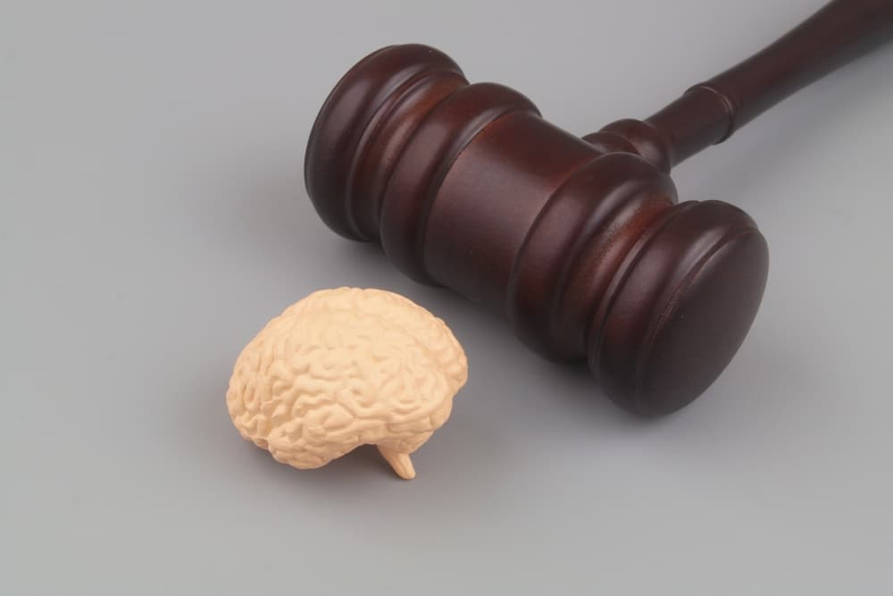Litigating a Concussion Case in the Court System